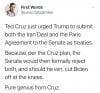 cruz plan.jpg