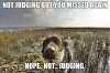 missed.jpg