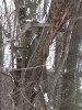 IMG_20210101_145843501.jpg