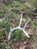 20201127_132152.jpg