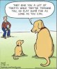 treats.jpg