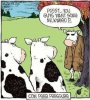FB_IMG_1610500852530.jpeg