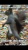 FB_IMG_1610920323382.jpeg
