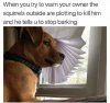 FB_IMG_1610663097365.jpeg