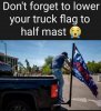 tapatalk_1745370982_473x515.jpeg