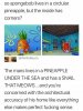 FB_IMG_1610813836458.jpeg
