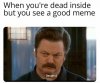 laughs.jpg