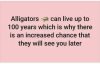FB_IMG_1610971379659.jpeg