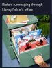 pelosi's files.jpg
