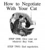negotiating cat.jpg
