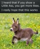 FB_IMG_1611097531341.jpeg