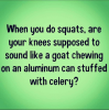 squats.png