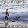 fin.jpg