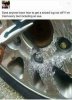FB_IMG_1611408473444.jpeg