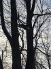 IMG_8092.jpg