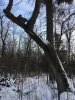 IMG_8096.jpg