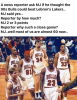bulls.png