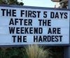 first five.jpg