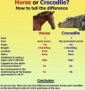 2D500024-6672-4FEE-B85D-80EE57CECEC3.jpeg