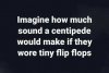 FB_IMG_1611789111245.jpeg