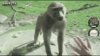 165730.gif