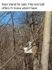 FB_IMG_1611844380654.jpeg