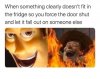 idiot.jpg