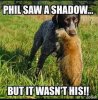 FB_IMG_1612317028244.jpeg