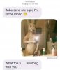 20210130_142806.jpeg