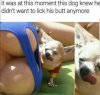 FB_IMG_1612035035148.jpeg
