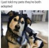 FB_IMG_1612099041798.jpeg