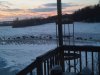 deer 2.jpg