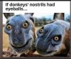 eyeballs.jpg