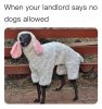 FB_IMG_1612140649975.jpeg