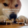 Image1612673410.679255.jpg