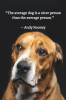 average dog.png