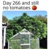 FB_IMG_1612346438629.jpeg