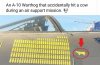 FB_IMG_1612359934643.jpeg