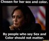 sex and color.jpg