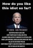 idiot.jpg
