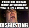 hot dog.png