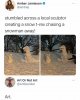 FB_IMG_1612693846512.jpeg