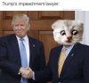 FB_IMG_1613046655474.jpeg