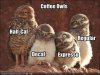 coffee owls.jpg