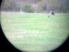 2012-04-03_17-33-17_717.jpg