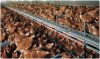 cage-free-hens.jpg