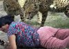120505_cheetah-womanblood_photoblog600.jpg