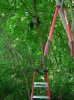 DSCN6124.jpg