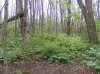 DSCF3464.jpg
