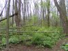 DSCF3465.jpg